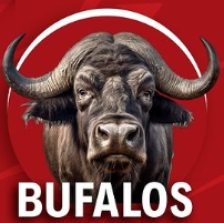 BO-Res en Canal (Bufalo)