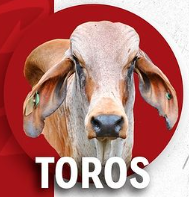 TO-Res en Canal (Toro) (CMT)