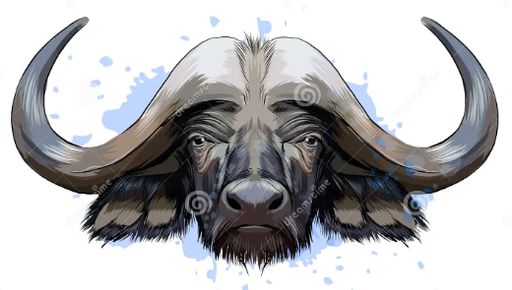 BTE-Res en Canal (Buffalete)